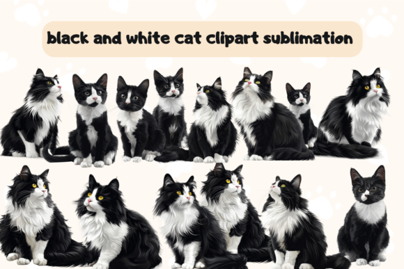 Download Cute Black and White Cat Clipart - White Collection
